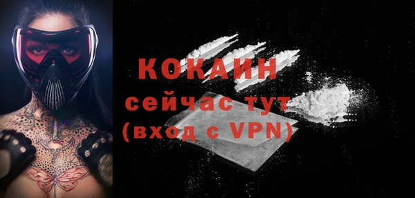 ешки Гусев