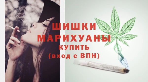 ГАЛЛЮЦИНОГЕННЫЕ ГРИБЫ Гусь-Хрустальный