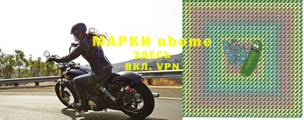 ГАЛЛЮЦИНОГЕННЫЕ ГРИБЫ Гусь-Хрустальный