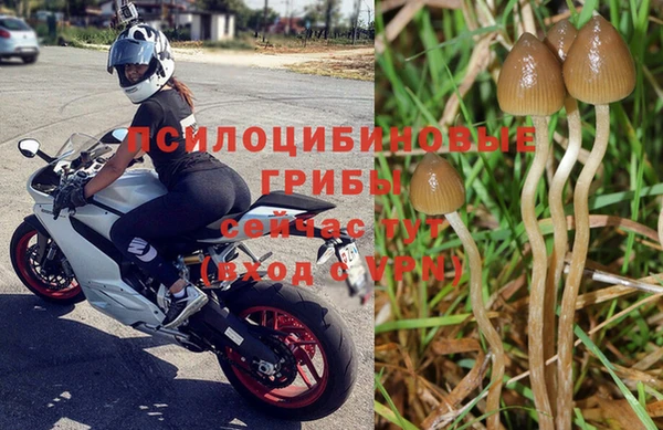 ГАЛЛЮЦИНОГЕННЫЕ ГРИБЫ Гусь-Хрустальный