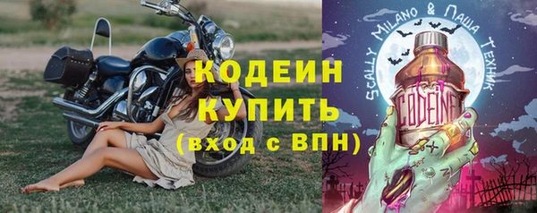 ГАЛЛЮЦИНОГЕННЫЕ ГРИБЫ Гусь-Хрустальный