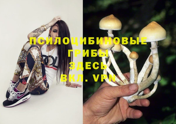 скорость Гусиноозёрск