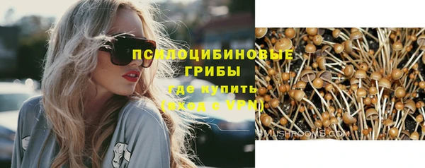 ешки Гусев