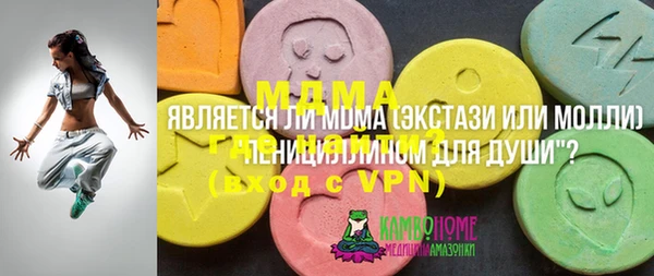 ГАЛЛЮЦИНОГЕННЫЕ ГРИБЫ Гусь-Хрустальный