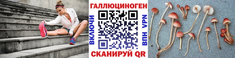 Галлюциногенные грибы GOLDEN TEACHER  мега рабочий сайт  Макаров 